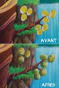 détail pompons de l'arbre oquecebo
